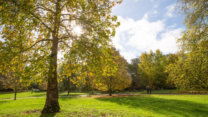 Visitors walking through the garden in autumn, Mottisfont, Hampshire